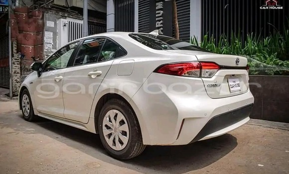 কেনা ব্যবহৃত Toyota corolla White গাড়ী মধ্যে বদরগঞ্জ মধ্যে Rangpur কেনা ব্যবহৃত Toyota corolla White গাড়ী মধ্যে বদরগঞ্জ মধ্যে Rangpur