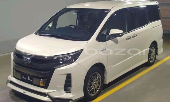 কেনা ব্যবহৃত Toyota Noah White গাড়ী মধ্যে বাগেরহাট মধ্যে Khulna কেনা ব্যবহৃত Toyota Noah White গাড়ী মধ্যে বাগেরহাট মধ্যে Khulna