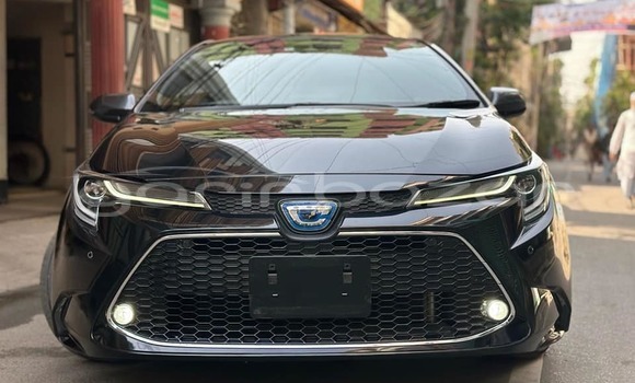 Buy Used 2021 Toyota corolla in Badarganj, Rangpur Buy Used 2021 Toyota corolla in Badarganj, Rangpur