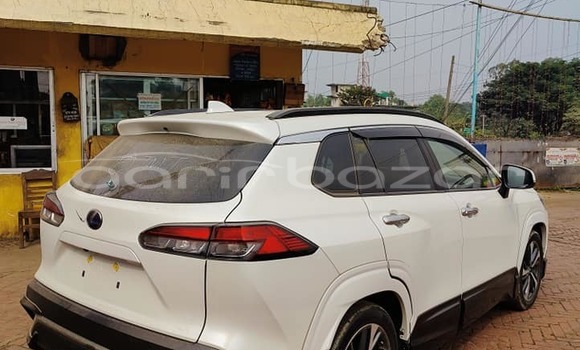 কেনা ব্যবহৃত Toyota corolla White গাড়ী মধ্যে বাগেরহাট মধ্যে Khulna কেনা ব্যবহৃত Toyota corolla White গাড়ী মধ্যে বাগেরহাট মধ্যে Khulna