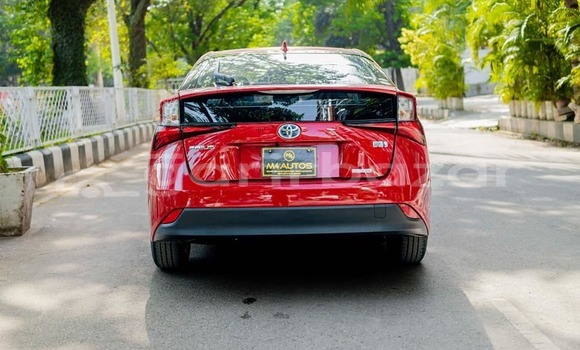 কেনা ব্যবহৃত Toyota prius Red গাড়ী মধ্যে বাগেরহাট মধ্যে Khulna কেনা ব্যবহৃত Toyota prius Red গাড়ী মধ্যে বাগেরহাট মধ্যে Khulna