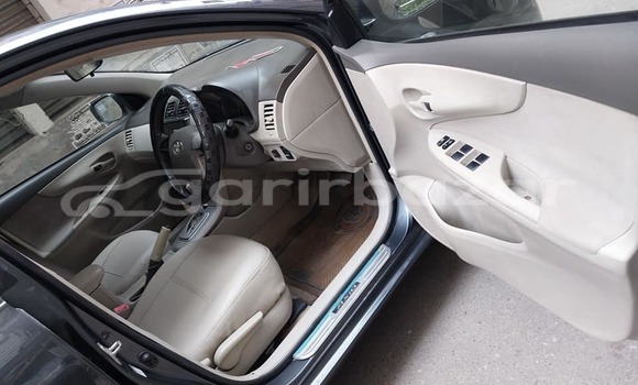 কেনা ব্যবহৃত Toyota F premio Black গাড়ী মধ্যে বাজিতপুর মধ্যে Kishorganj কেনা ব্যবহৃত Toyota F premio Black গাড়ী মধ্যে বাজিতপুর মধ্যে Kishorganj