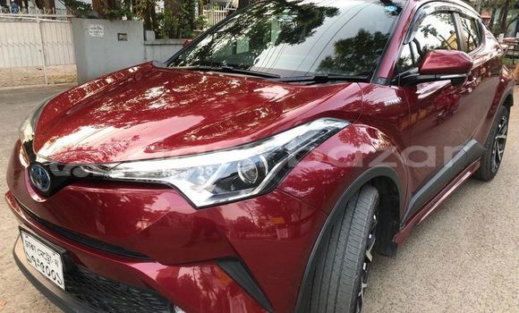 কেনা ব্যবহৃত Toyota CHR Red গাড়ী মধ্যে ঢাকা মধ্যে Dhaka কেনা ব্যবহৃত Toyota CHR Red গাড়ী মধ্যে ঢাকা মধ্যে Dhaka