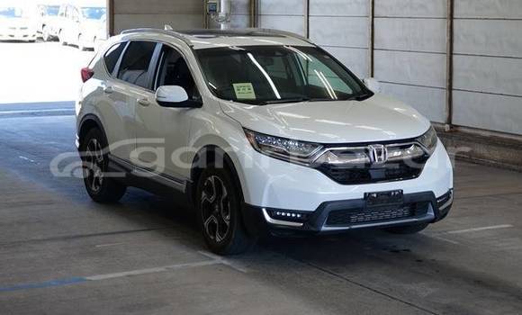 Buy Import 2019 Honda CR-V in Dhaka, Dhaka