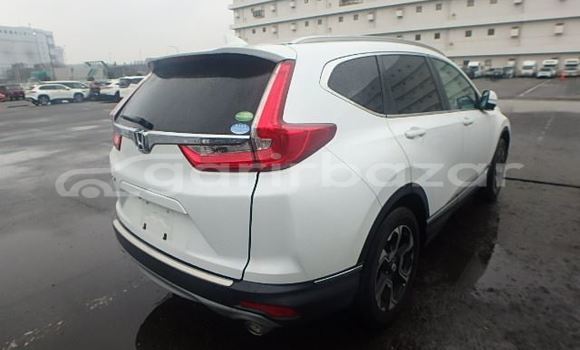 Buy Import 2019 Honda CR-V in Dhaka, Dhaka Buy Import 2019 Honda CR-V in Dhaka, Dhaka