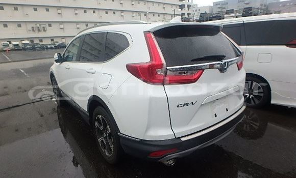 Buy Import 2019 Honda CR-V in Dhaka, Dhaka Buy Import 2019 Honda CR-V in Dhaka, Dhaka