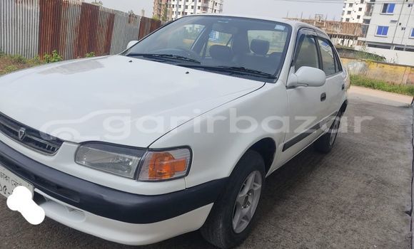 কেনা ব্যবহৃত Toyota Corolla 111 White গাড়ী মধ্যে ঢাকা মধ্যে Dhaka কেনা ব্যবহৃত Toyota Corolla 111 White গাড়ী মধ্যে ঢাকা মধ্যে Dhaka
