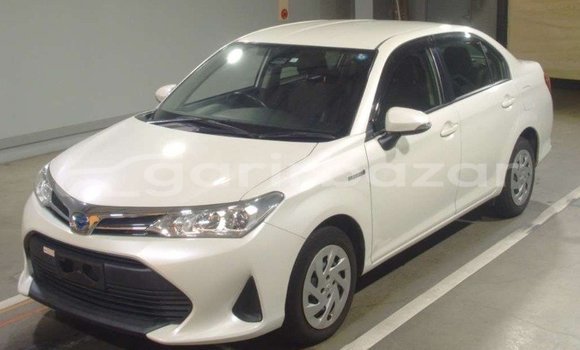 কেনা ব্যবহৃত Toyota axio White গাড়ী মধ্যে ঢাকা মধ্যে Dhaka কেনা ব্যবহৃত Toyota axio White গাড়ী মধ্যে ঢাকা মধ্যে Dhaka