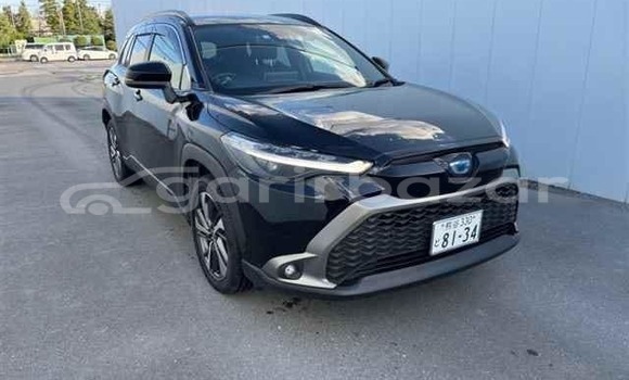 কেনা ব্যবহৃত Toyota corolla Black গাড়ী মধ্যে ঢাকা মধ্যে Dhaka কেনা ব্যবহৃত Toyota corolla Black গাড়ী মধ্যে ঢাকা মধ্যে Dhaka