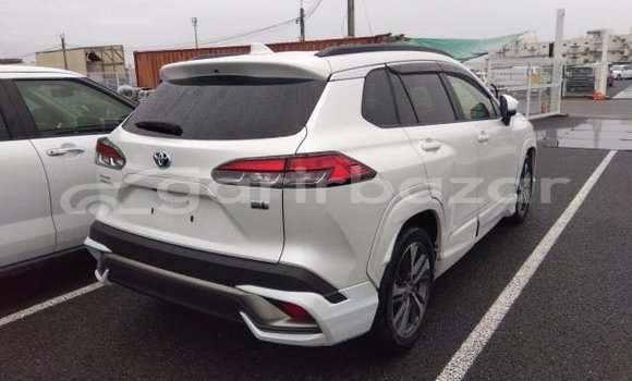 কেনা ব্যবহৃত Toyota corolla White গাড়ী মধ্যে ঢাকা মধ্যে Dhaka কেনা ব্যবহৃত Toyota corolla White গাড়ী মধ্যে ঢাকা মধ্যে Dhaka