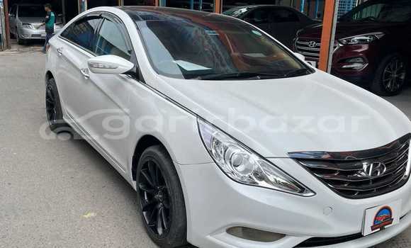 কেনা ব্যবহৃত Hyundai sonata White গাড়ী মধ্যে ঢাকা মধ্যে Dhaka কেনা ব্যবহৃত Hyundai sonata White গাড়ী মধ্যে ঢাকা মধ্যে Dhaka