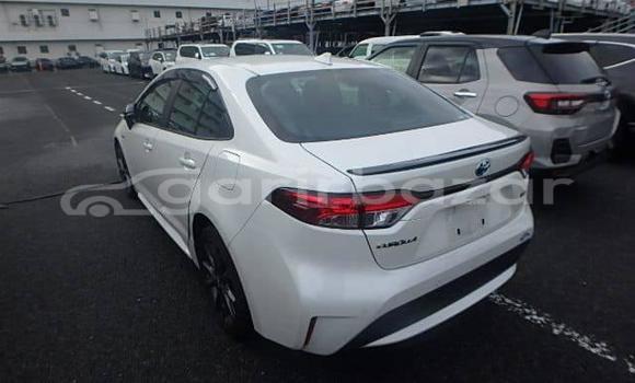 Buy Used 2020 Toyota corolla in Dhaka, Dhaka Buy Used 2020 Toyota corolla in Dhaka, Dhaka