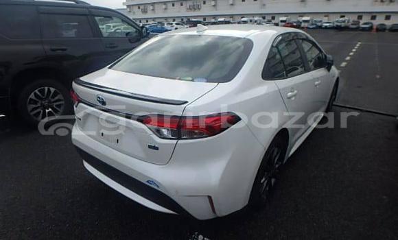 Buy Used 2020 Toyota corolla in Dhaka, Dhaka Buy Used 2020 Toyota corolla in Dhaka, Dhaka