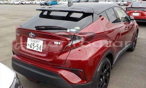 Buy Used 2019 Toyota CH-R in Dhaka, Dhaka Buy Used 2019 Toyota CH-R in Dhaka, Dhaka