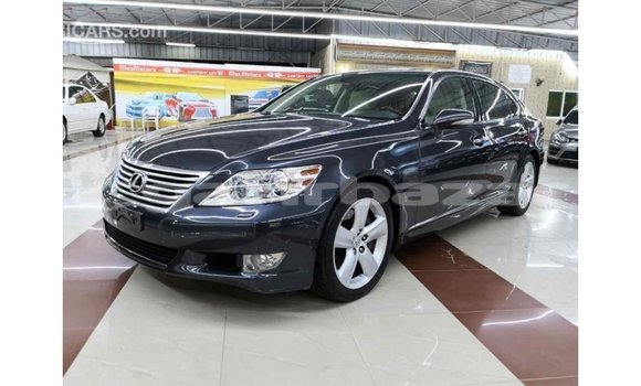 Buy Import 2010 Lexus LS in Import - Dubai, Bandarban