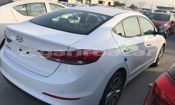 কেনা আমদানি Hyundai Elantra White গাড়ী মধ্যে ইম্পোর্ট - দুবাই মধ্যে Bandarban কেনা আমদানি Hyundai Elantra White গাড়ী মধ্যে ইম্পোর্ট - দুবাই মধ্যে Bandarban