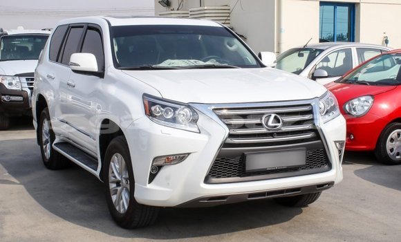 কেনা আমদানি Lexus GX White গাড়ী মধ্যে ইম্পোর্ট - দুবাই মধ্যে Bandarban কেনা আমদানি Lexus GX White গাড়ী মধ্যে ইম্পোর্ট - দুবাই মধ্যে Bandarban