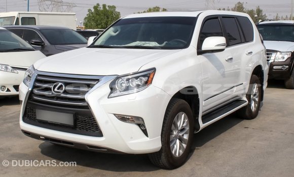 কেনা আমদানি Lexus GX White গাড়ী মধ্যে ইম্পোর্ট - দুবাই মধ্যে Bandarban কেনা আমদানি Lexus GX White গাড়ী মধ্যে ইম্পোর্ট - দুবাই মধ্যে Bandarban
