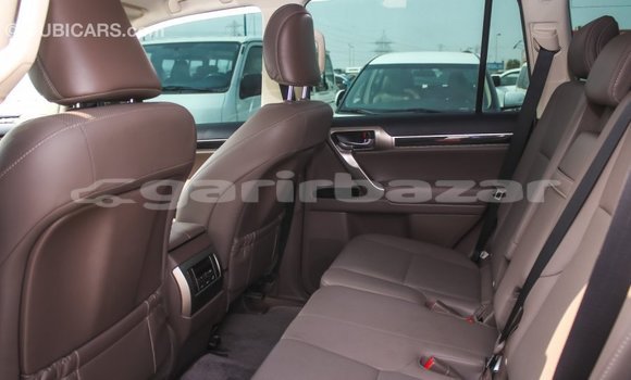 কেনা আমদানি Lexus GX White গাড়ী মধ্যে ইম্পোর্ট - দুবাই মধ্যে Bandarban কেনা আমদানি Lexus GX White গাড়ী মধ্যে ইম্পোর্ট - দুবাই মধ্যে Bandarban