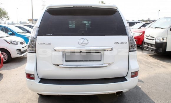 কেনা আমদানি Lexus GX White গাড়ী মধ্যে ইম্পোর্ট - দুবাই মধ্যে Bandarban কেনা আমদানি Lexus GX White গাড়ী মধ্যে ইম্পোর্ট - দুবাই মধ্যে Bandarban