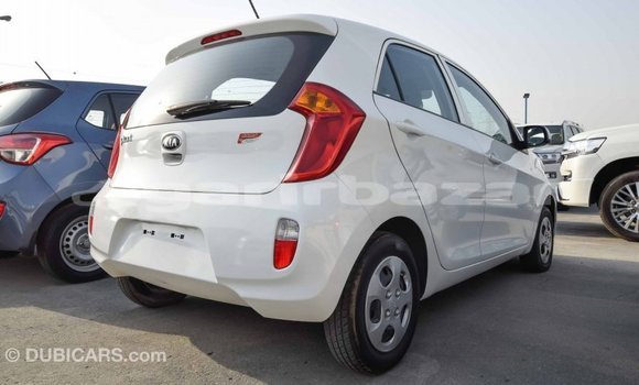 কেনা আমদানি Mercedes-Benz Picanto White গাড়ী মধ্যে ইম্পোর্ট - দুবাই মধ্যে Bandarban কেনা আমদানি Mercedes-Benz Picanto White গাড়ী মধ্যে ইম্পোর্ট - দুবাই মধ্যে Bandarban