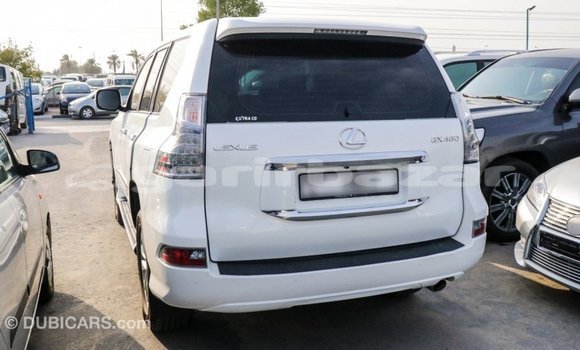 কেনা আমদানি Lexus GX White গাড়ী মধ্যে ইম্পোর্ট - দুবাই মধ্যে Bandarban কেনা আমদানি Lexus GX White গাড়ী মধ্যে ইম্পোর্ট - দুবাই মধ্যে Bandarban