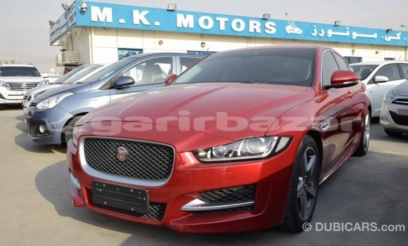 কেনা আমদানি Jaguar XE Red গাড়ী মধ্যে ইম্পোর্ট - দুবাই মধ্যে Bandarban কেনা আমদানি Jaguar XE Red গাড়ী মধ্যে ইম্পোর্ট - দুবাই মধ্যে Bandarban