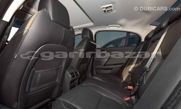 কেনা আমদানি Jaguar XE Red গাড়ী মধ্যে ইম্পোর্ট - দুবাই মধ্যে Bandarban কেনা আমদানি Jaguar XE Red গাড়ী মধ্যে ইম্পোর্ট - দুবাই মধ্যে Bandarban