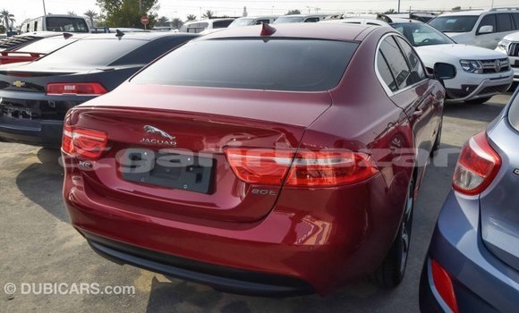 কেনা আমদানি Jaguar XE Red গাড়ী মধ্যে ইম্পোর্ট - দুবাই মধ্যে Bandarban কেনা আমদানি Jaguar XE Red গাড়ী মধ্যে ইম্পোর্ট - দুবাই মধ্যে Bandarban
