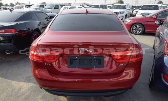 কেনা আমদানি Jaguar XE Red গাড়ী মধ্যে ইম্পোর্ট - দুবাই মধ্যে Bandarban কেনা আমদানি Jaguar XE Red গাড়ী মধ্যে ইম্পোর্ট - দুবাই মধ্যে Bandarban