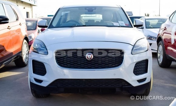 কেনা আমদানি Jaguar E-Pace White গাড়ী মধ্যে ইম্পোর্ট - দুবাই মধ্যে Bandarban কেনা আমদানি Jaguar E-Pace White গাড়ী মধ্যে ইম্পোর্ট - দুবাই মধ্যে Bandarban