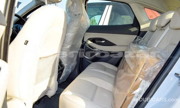কেনা আমদানি Jaguar E-Pace White গাড়ী মধ্যে ইম্পোর্ট - দুবাই মধ্যে Bandarban কেনা আমদানি Jaguar E-Pace White গাড়ী মধ্যে ইম্পোর্ট - দুবাই মধ্যে Bandarban