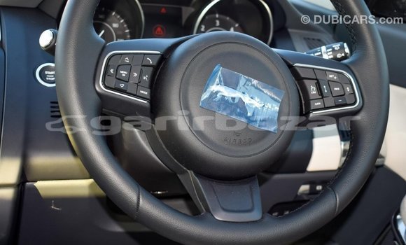 কেনা আমদানি Jaguar E-Pace White গাড়ী মধ্যে ইম্পোর্ট - দুবাই মধ্যে Bandarban কেনা আমদানি Jaguar E-Pace White গাড়ী মধ্যে ইম্পোর্ট - দুবাই মধ্যে Bandarban