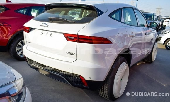 কেনা আমদানি Jaguar E-Pace White গাড়ী মধ্যে ইম্পোর্ট - দুবাই মধ্যে Bandarban কেনা আমদানি Jaguar E-Pace White গাড়ী মধ্যে ইম্পোর্ট - দুবাই মধ্যে Bandarban