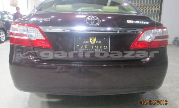 কেনা আমদানি Toyota Premio Burgundy গাড়ী মধ্যে ঢাকা মধ্যে Dhaka কেনা আমদানি Toyota Premio Burgundy গাড়ী মধ্যে ঢাকা মধ্যে Dhaka