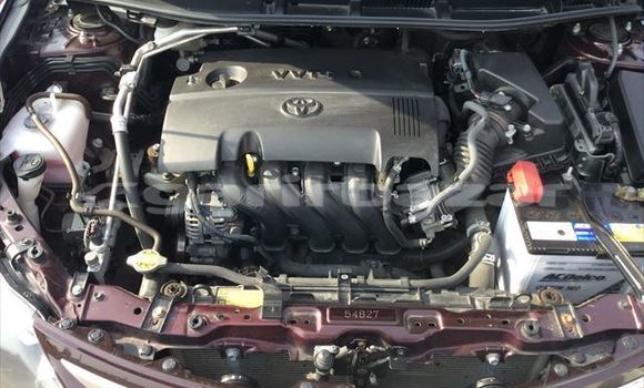 কেনা আমদানি Toyota Allion Burgundy গাড়ী মধ্যে ঢাকা মধ্যে Dhaka কেনা আমদানি Toyota Allion Burgundy গাড়ী মধ্যে ঢাকা মধ্যে Dhaka