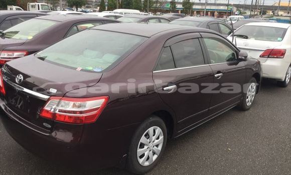 কেনা আমদানি Toyota Premio Burgundy গাড়ী মধ্যে ঢাকা মধ্যে Dhaka কেনা আমদানি Toyota Premio Burgundy গাড়ী মধ্যে ঢাকা মধ্যে Dhaka