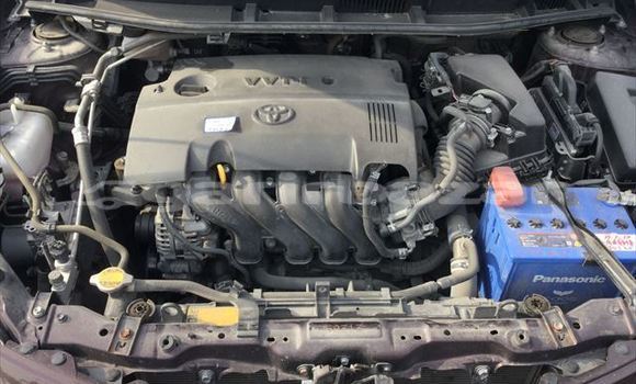 কেনা আমদানি Toyota Allion Burgundy গাড়ী মধ্যে ঢাকা মধ্যে Dhaka কেনা আমদানি Toyota Allion Burgundy গাড়ী মধ্যে ঢাকা মধ্যে Dhaka