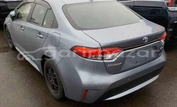 Buy Used 2019 Toyota Corolla in Dhaka, Dhaka Buy Used 2019 Toyota Corolla in Dhaka, Dhaka