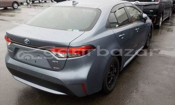 Buy Used 2019 Toyota Corolla in Dhaka, Dhaka Buy Used 2019 Toyota Corolla in Dhaka, Dhaka