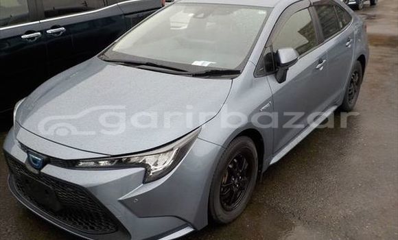 Buy Used 2019 Toyota Corolla in Dhaka, Dhaka Buy Used 2019 Toyota Corolla in Dhaka, Dhaka