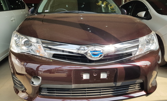 কেনা আমদানি Toyota Axio Burgundy গাড়ী মধ্যে ঢাকা মধ্যে Dhaka কেনা আমদানি Toyota Axio Burgundy গাড়ী মধ্যে ঢাকা মধ্যে Dhaka