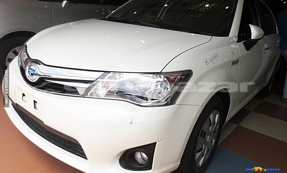 Buy Import Toyota Axio in Dhaka, Dhaka Buy Import Toyota Axio in Dhaka, Dhaka