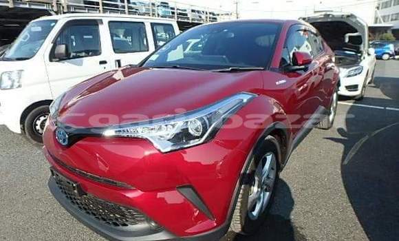 Buy Import Toyota CH-R in Dhaka, Dhaka Buy Import Toyota CH-R in Dhaka, Dhaka