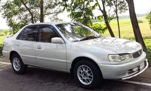 Buy Used 1997 Toyota Corolla in Dhaka, Dhaka