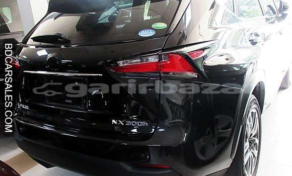 Buy Import Toyota Lexus in Dhaka, Dhaka Buy Import Toyota Lexus in Dhaka, Dhaka