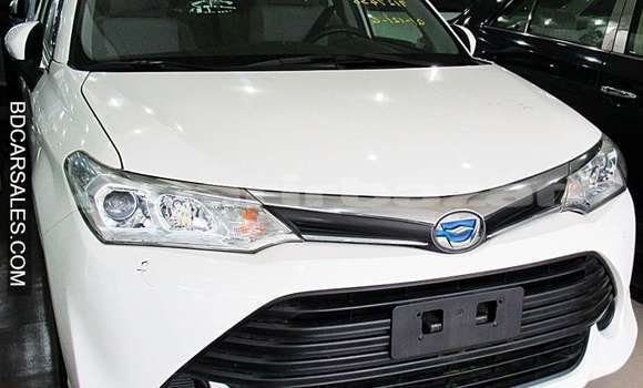কেনা আমদানি Toyota Axio White গাড়ী মধ্যে ঢাকা মধ্যে Dhaka কেনা আমদানি Toyota Axio White গাড়ী মধ্যে ঢাকা মধ্যে Dhaka