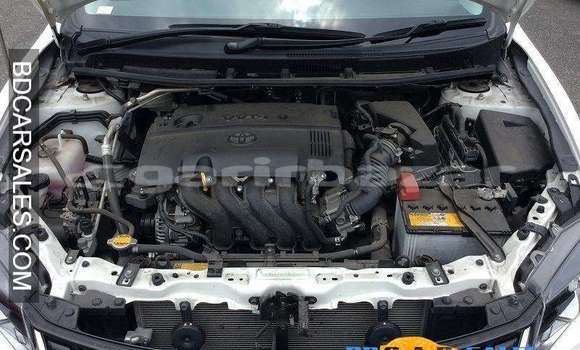 Buy Import Toyota Allion in Dhaka, Dhaka Buy Import Toyota Allion in Dhaka, Dhaka