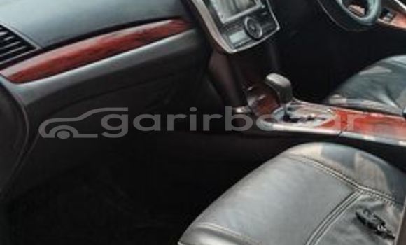 কেনা ব্যবহৃত Toyota premio g-superior White গাড়ী মধ্যে ঢাকা মধ্যে Dhaka কেনা ব্যবহৃত Toyota premio g-superior White গাড়ী মধ্যে ঢাকা মধ্যে Dhaka