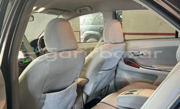 কেনা ব্যবহৃত Toyota premio g Bronze গাড়ী মধ্যে ঢাকা মধ্যে Dhaka কেনা ব্যবহৃত Toyota premio g Bronze গাড়ী মধ্যে ঢাকা মধ্যে Dhaka